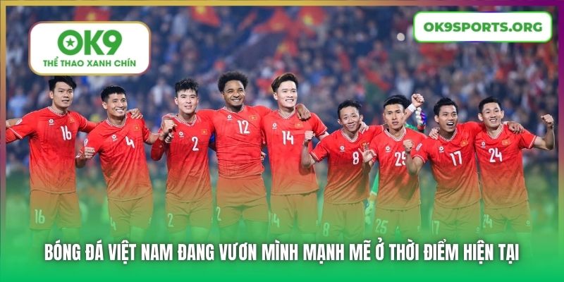 Bóng đá Việt Nam đang vươn mình mạnh mẽ ở thời điểm hiện tại