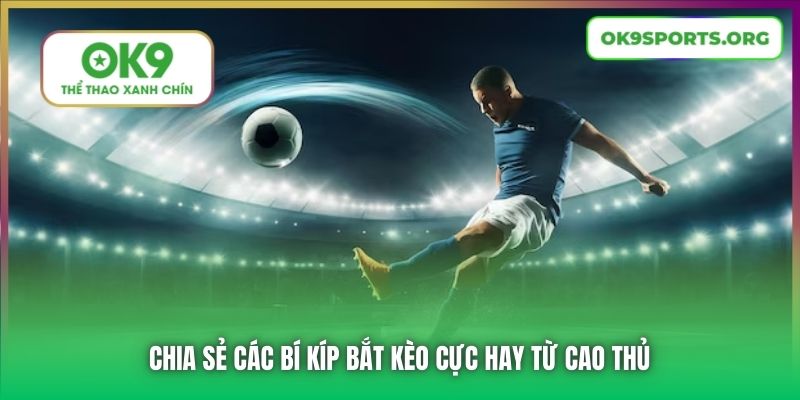 Chia sẻ các bí kíp bắt kèo cực hay từ cao thủ