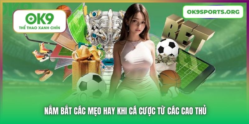 Nắm bắt các mẹo hay khi cá cược từ các cao thủ